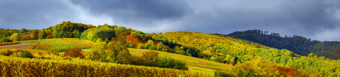 Similar image 10453149