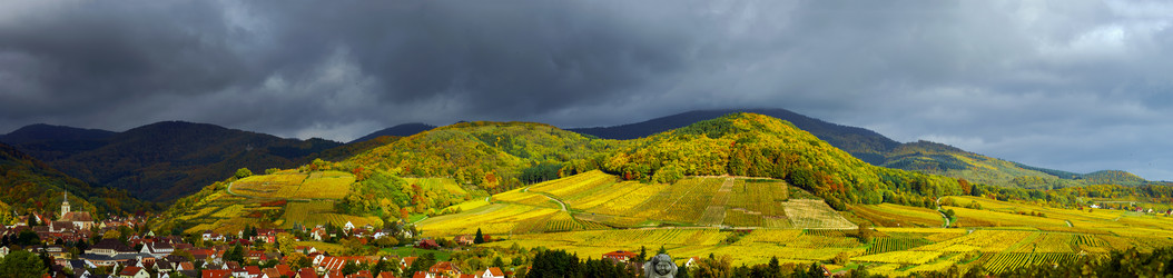 Similar image 10453150