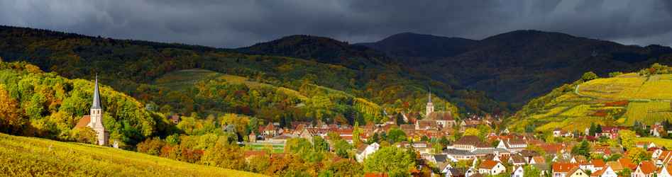 Similar image 10453155