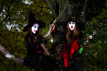 Similar image 10453187