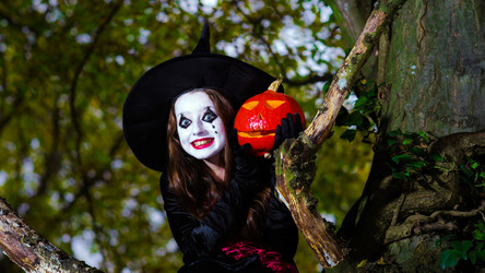 Similar image 10453194