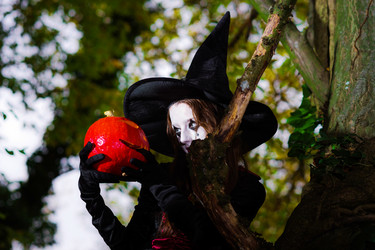 Similar image 10453195