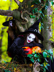 Similar image 10453202