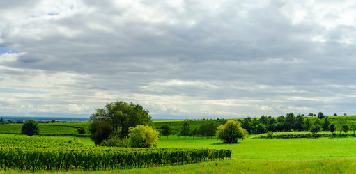 Similar image 10453232