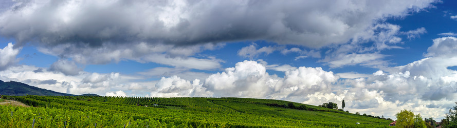 Similar image 10453233