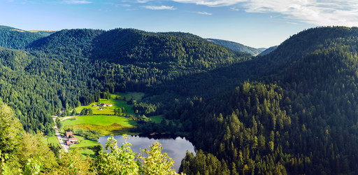 Similar image 10453234