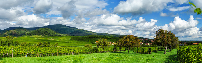 Similar image 10453237