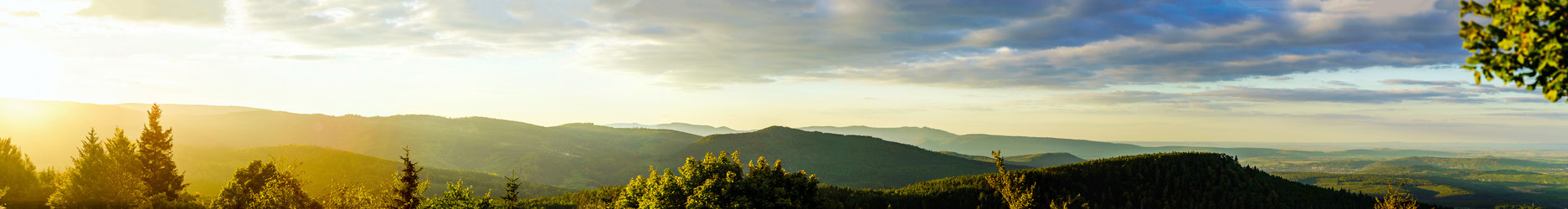 Similar image 10453241