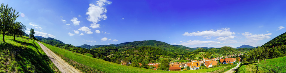 Similar image 10453246