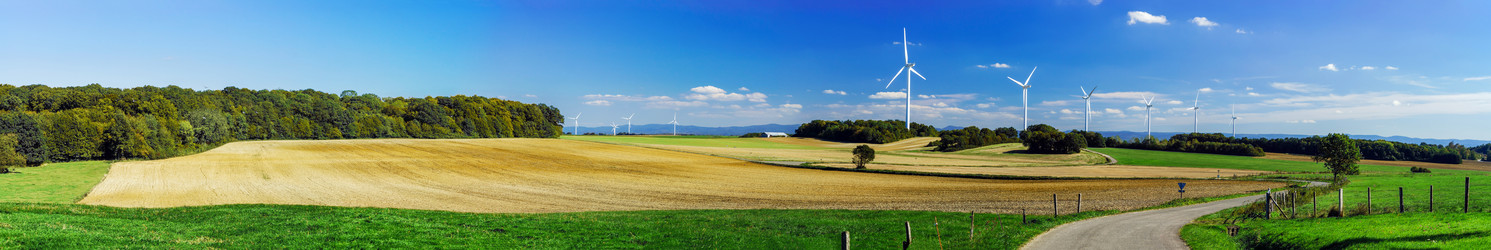 Similar image 10453249