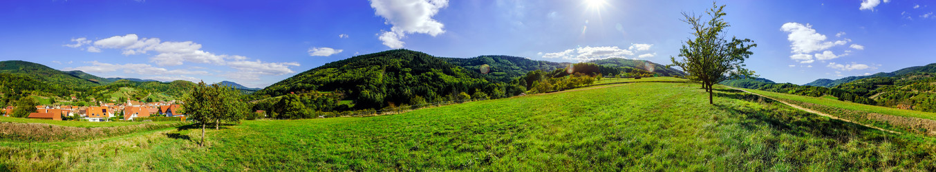 Similar image 10453250