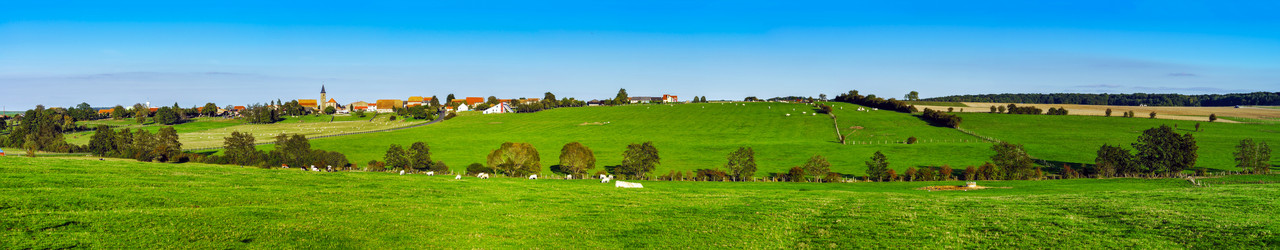 Similar image 10453254