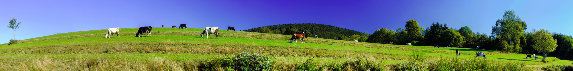 Similar image 10453255