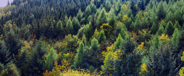 Similar image 10453258