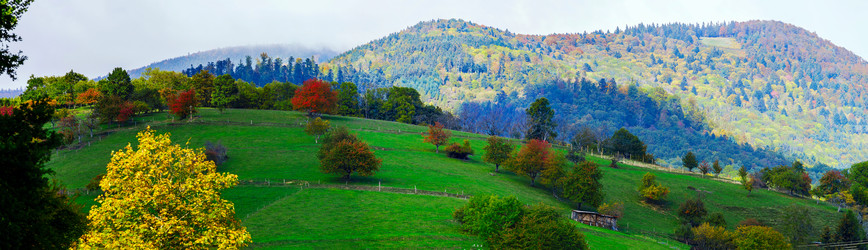 Similar image 10453259