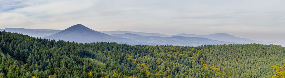 Similar image 10453262