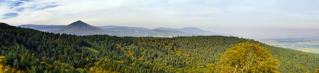 Similar image 10453265