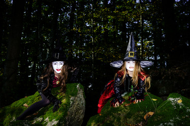 Similar image 10453272