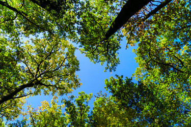 Similar image 10453273