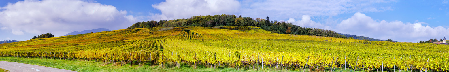 Similar image 10453276