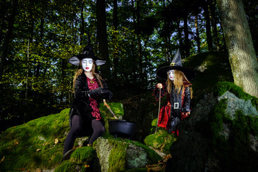 Similar image 10453279