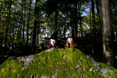 Similar image 10453302