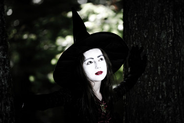 Similar image 10453303