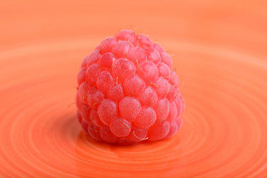 Similar image 10453328