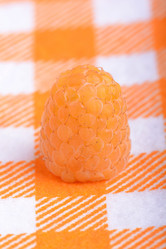 Similar image 10453493