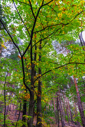 Similar image 10453901