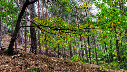 Similar image 10453902