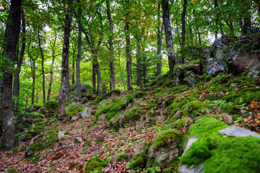 Similar image 10453904