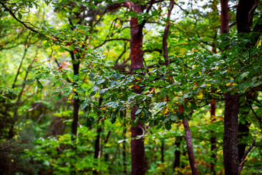 Similar image 10453905