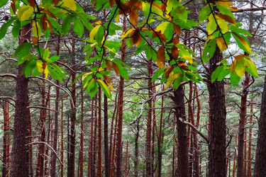 Similar image 10453907