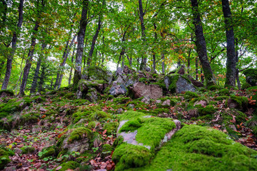 Similar image 10453909