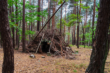 Similar image 10453910