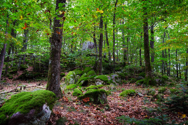 Similar image 10453920