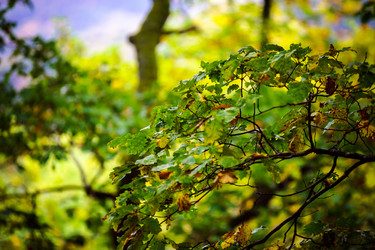 Similar image 10453923