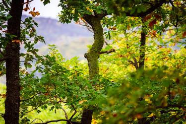 Similar image 10453925