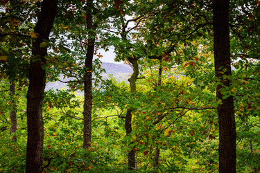 Similar image 10453926