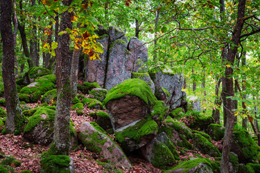 Similar image 10453927