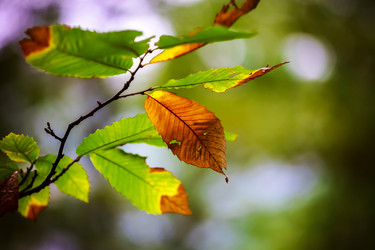 Similar image 10453933