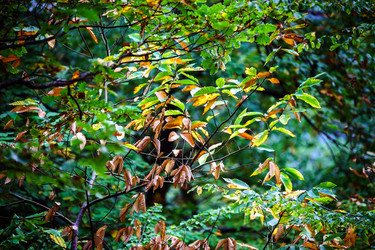 Similar image 10453935