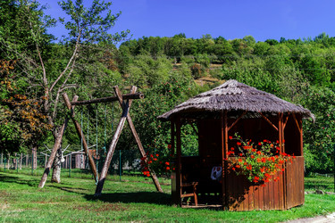 Similar image 10454051