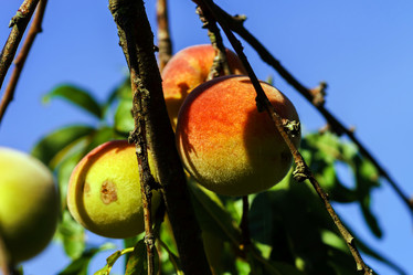 Similar image 10454052