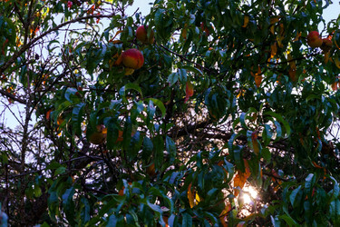 Similar image 10454053