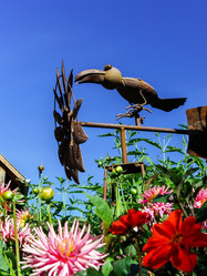 Similar image 10454054