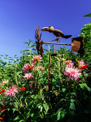 Similar image 10454055