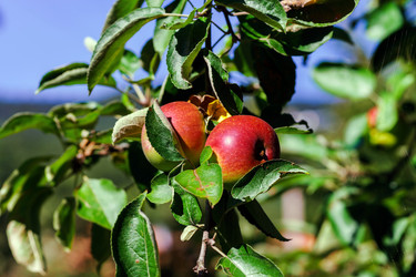 Similar image 10454056