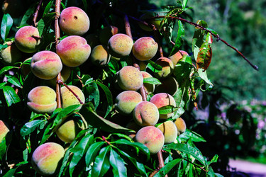 Similar image 10454057